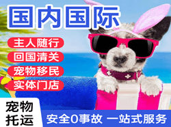 海拉尔航空货运国际宠物托运 【国